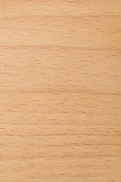 close-up of beechwood surface, pale cream color fine, even grain and smooth texture background or backdrop, furniture, flooring or decorative veneers, vertical orientation with copy space