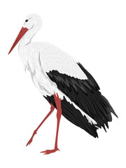 white stork. Realistic vector bird