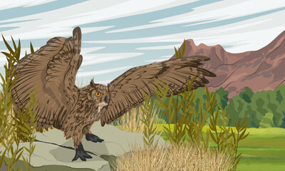 Eagle owl takes off from a rock in a valley at the foot of the mountains. Predatory bird. Realistic vector landscape