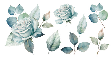 Set watercolor blue roses floral roses bouquet. Wedding concept a white background - 757301489