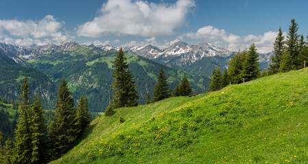Fototapeta na wymiar Allgäuer Alpen vom Füssener Jöchl, Tannheimer Tal, Tirol, Österreich