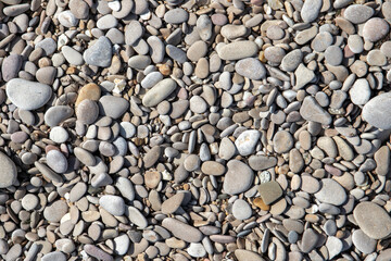 Gray coastal pebble in a sunlight, top view, close-up background photo