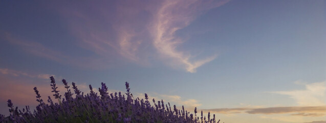 Abstract lavender sky