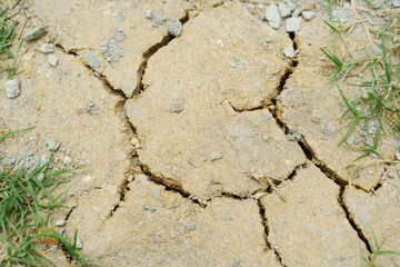 Cracked earth with traces of grass, signifying drought. Arid ground split open, scarce greenery clinging to life.