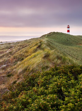 Leuchtturm List-Ost, Ellenbogen, Sylt, Schleswig-Holstein, Deutschland