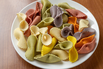 Colorful pasta background. Top view of five colors pasta shells .Heap of colorful spiral pasta,macaroni texture.