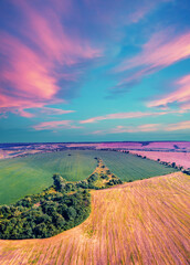View from above of sunny fields on rolling hills during sunset. Vertical banner - 757338214