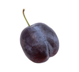 ripe plum isolated on white background