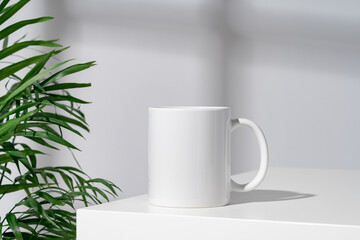 Fototapeta na wymiar Porcelain cup and palm branch on white background