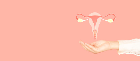 Uterus and ovaries anatomy on doctor hand over pink backgroud. Awareness of women health care such as endometriosis, PCOS, STDs, ovarian, cervical cancer screening. Gynecology and reproductive system. - obrazy, fototapety, plakaty