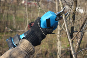 Pruning trees with electric pruning shears branch cutter automatic with battery to easyprune...