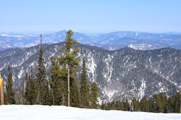 MOUNT KOKUYA, ALTAI, RUSSIA -  09 MARCH 2024: Mount Kokuya is an ideal location for winter sports. 
Views of the ski resort Teletski. Ski resort is located near Lake Teletskoye. 