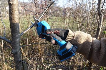 Pruning trees with electric pruning shears branch cutter automatic with battery to easyprune...