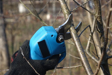 Pruning trees with electric pruning shears branch cutter automatic with battery to easyprune...