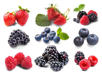 Assorted Berries and Fruits Illustration, Vibrant collection of berries and citrus fruit graphics.