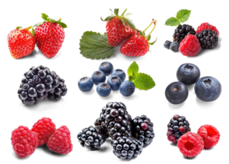 Assorted Berries and Fruits Illustration, Vibrant collection of berries and citrus fruit graphics.