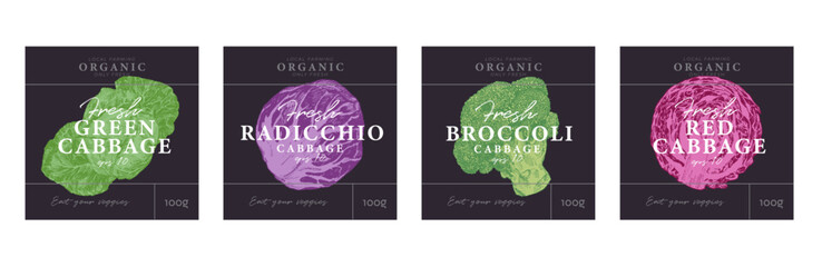Cabbage hand drawn illustrations, modern packaging design, label background templates