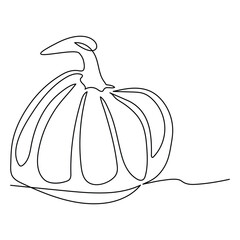 Ripe pumpkin continuous line drawing