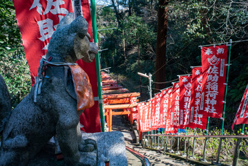 鎌倉243　佐助稲荷神社2　鳥居