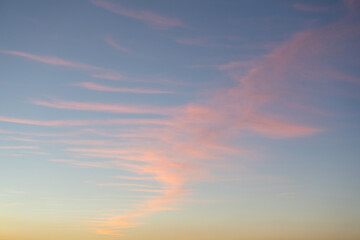 Pink cirrostratus clouds in the evening sky