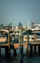 boats in the harbor Marina pelican miami Florida 