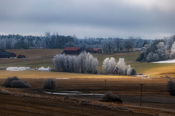 Farm landscape in Sweden with frosty tree in spring - 757363403