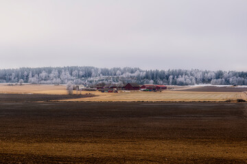 Farm landscape in Sweden with frosty tree in spring - 757363406