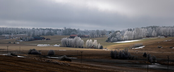 Farm landscape in Sweden with frosty tree in spring - 757363422