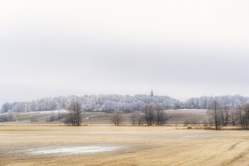 Farm landscape in Sweden with frosty tree in spring - 757363452