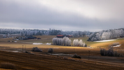 Farm landscape in Sweden with frosty tree in spring - 757363494