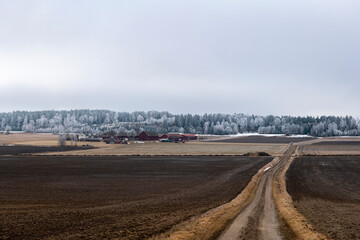 Farm landscape in Sweden with frosty tree in spring - 757363499