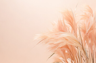 Pampas grass color peach fuzz monochrome background. Trend color