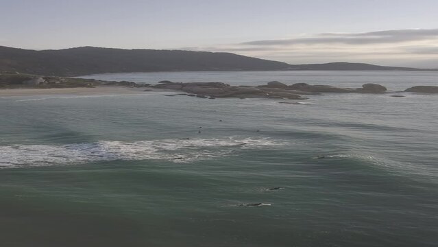 Surf Praia Mole Floripa Florianopolis Esporte Vida Radical Aqu&aacute;tico &Aacute;gua Mar Surfista Oceano Atl&acirc;ntico Prancha Galheta Ol&iacute;mpico Paisagem Tropical Ver&atilde;o Ilha Santa Catarina Areia Atividade Drone Mar