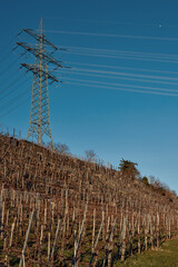 Elevated Power Lines on the Hill. Autumn in Germany: "Vineyard Vistas. Power Line on the Hill overlooking Grapevines and Riverbanks. Villages, Vineyards, and Riverside Retreats. Autumn Serenity in