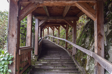 Pasarela de madera con escaleras ascendentes con vegetación a los lados
