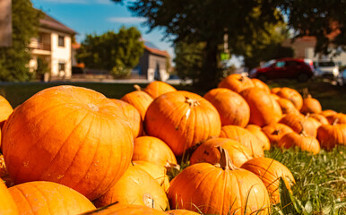 Pumpkins for sale at an open-air sales stand on an autumn or indian summer day at Bavaria, Germany