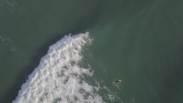 Surf Praia Mole Floripa Florianopolis Esporte Vida Radical Aqu&aacute;tico &Aacute;gua Mar Surfista Oceano Atl&acirc;ntico Prancha Galheta Ol&iacute;mpico Paisagem Tropical Ver&atilde;o Ilha Santa Catarina Areia Atividade Drone Mar