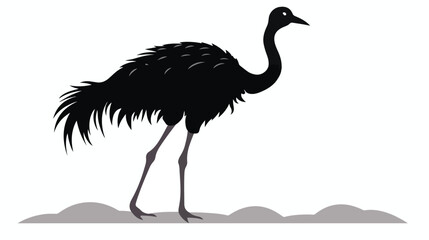 Naklejka premium silhouett of ostrich white background