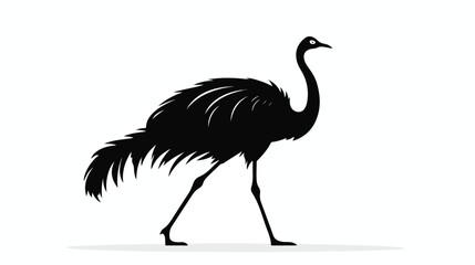 Naklejka premium silhouett of ostrich white background