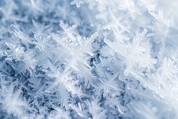 Fototapeta premium A patch of ice crystals forming intricate patterns