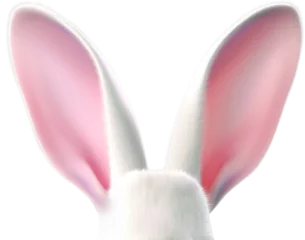 Foto auf Glas PNG White Easter Rabbit Ears. Bunny Ears Isolated © LiliGraphie