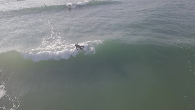 Surf Praia Mole Floripa Florianopolis Esporte Vida Radical Aqu&aacute;tico &Aacute;gua Mar Surfista Oceano Atl&acirc;ntico Prancha Galheta Ol&iacute;mpico Paisagem Tropical Ver&atilde;o Ilha Santa Catarina Areia Atividade Drone Mar