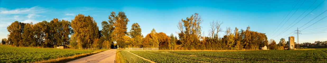 Naklejka premium High resolution stitched autumn or indian summer panorama near Tabertshausen, Deggendorf, Bavaria, Germany