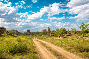 Fototapeta na wymiar Country road among natural summer landscapes. Off-road in the fields and among rocky terrain in the mountains. A rut among the wild nature. Travel concept.