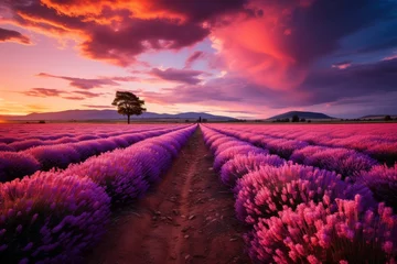 Foto auf Acrylglas A tree stands among lavender flowers in a natural landscape under a violet sky © JackDong