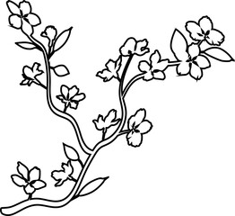 Sakura branch with flowers decoration.