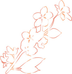 Sakura branch with flowers decoration.