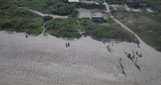Surf Praia Mole Floripa Florianopolis Esporte Vida Radical Aqu&aacute;tico &Aacute;gua Mar Surfista Oceano Atl&acirc;ntico Prancha Galheta Ol&iacute;mpico Paisagem Tropical Ver&atilde;o Ilha Santa Catarina Areia Atividade Drone Mar