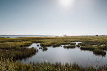 Fototapeta premium Beautiful summer evening on the water in Mount Pleasant, South Carolina