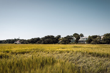 Fototapeta premium Reeds on Shem Creek near Charleston, South Carolina